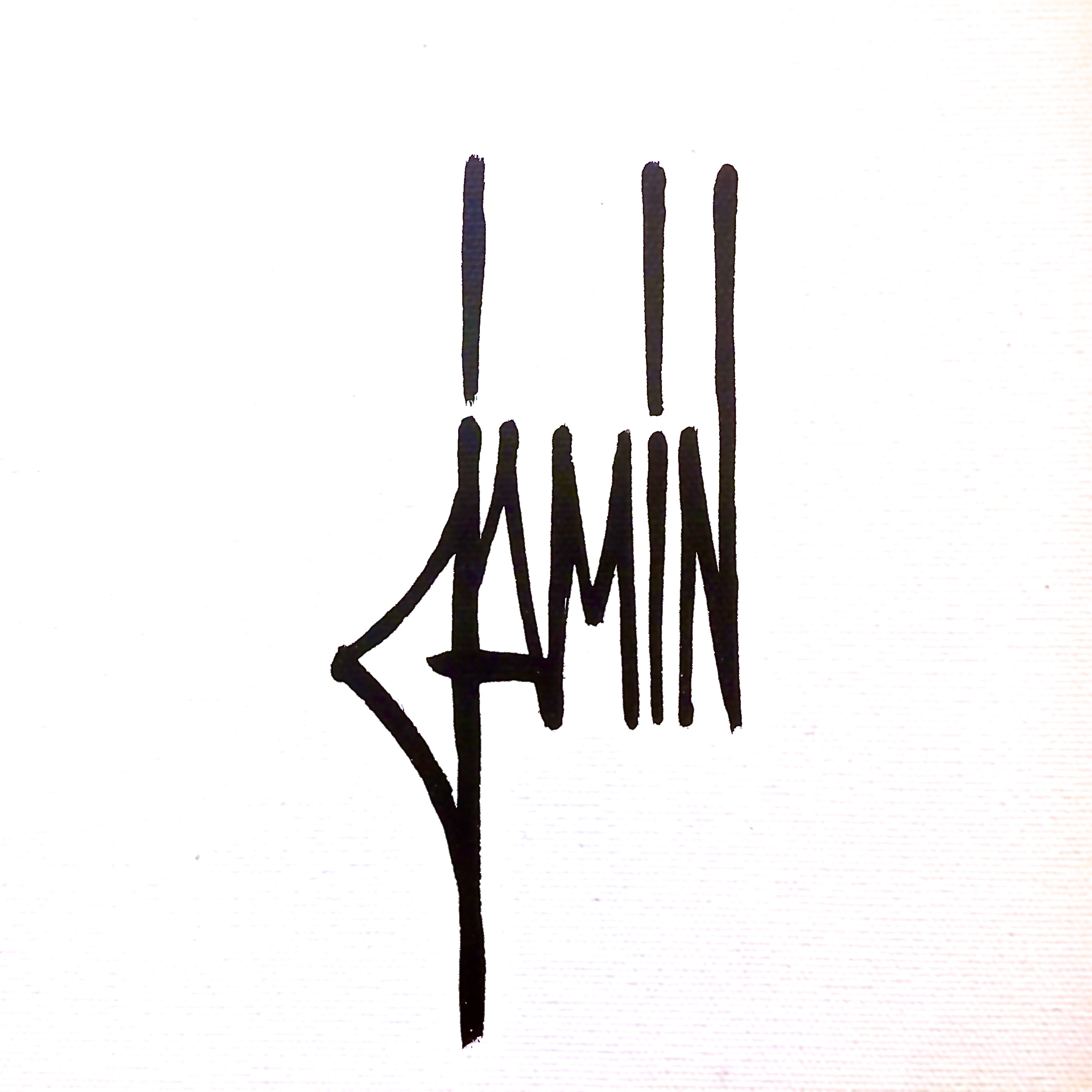 DAVID JAMIN logo